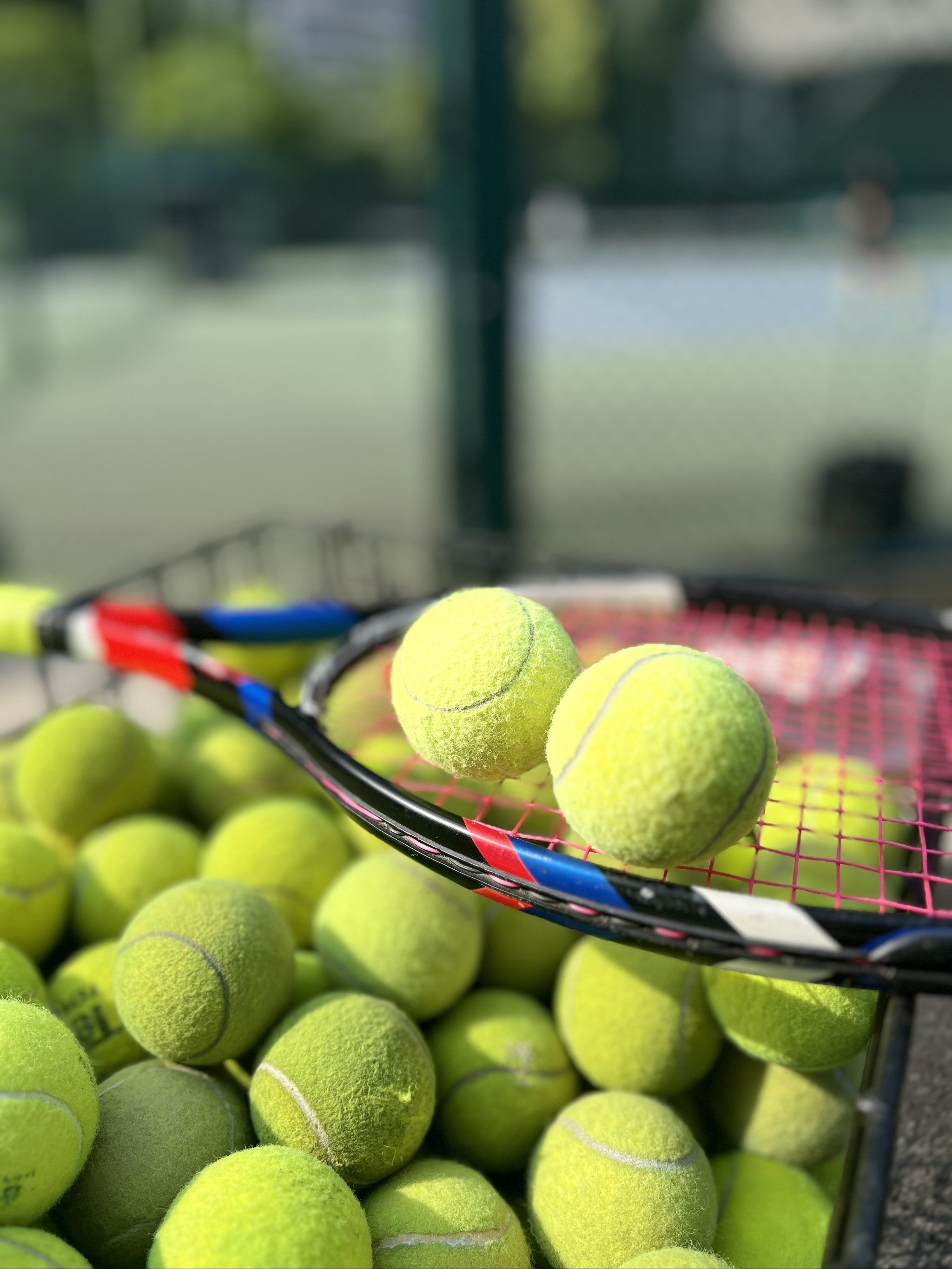 组合可以概 组合可以概