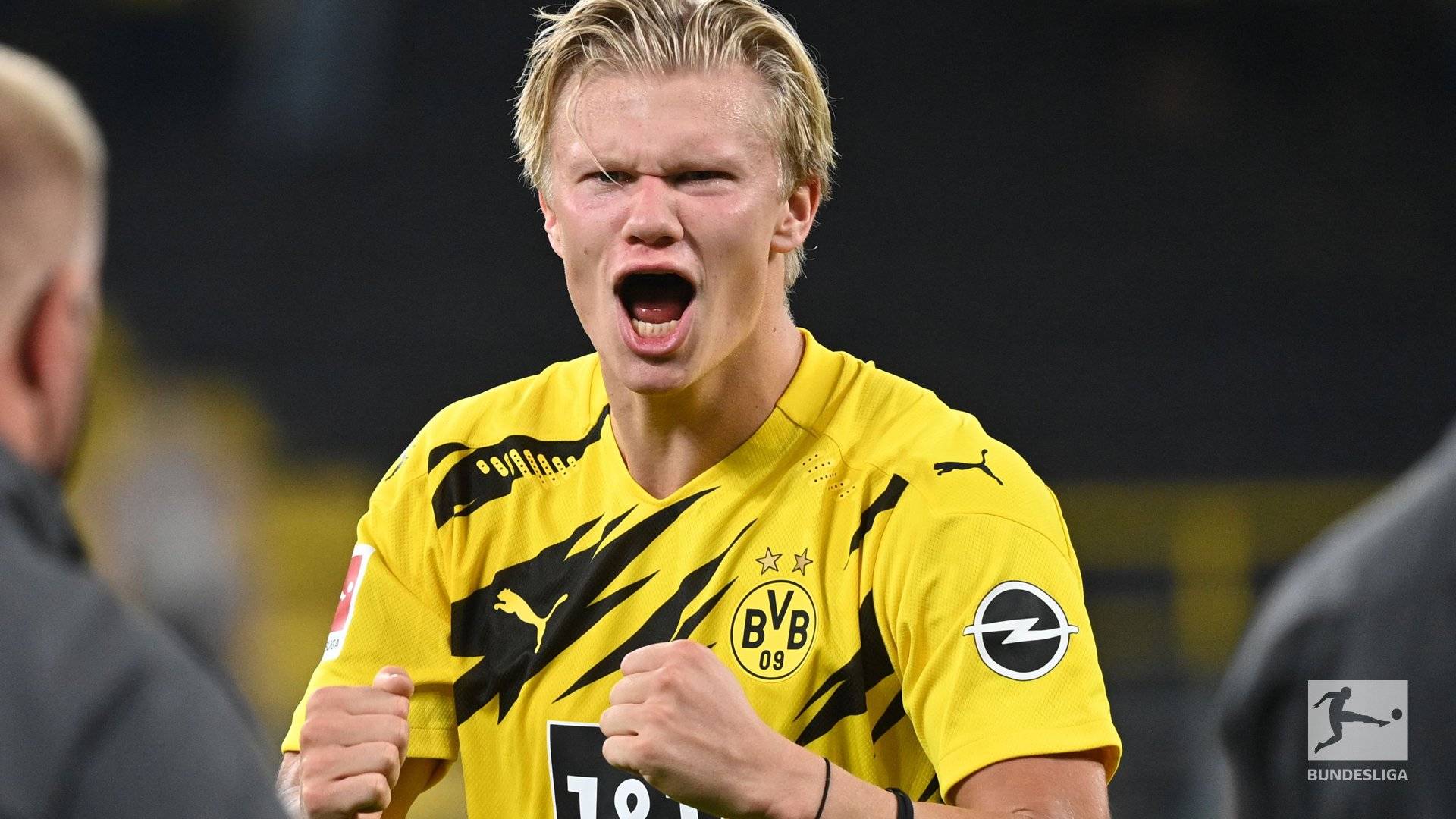 罗奇从舒适 罗奇从舒适